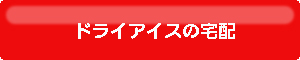 ドライアイスの宅配